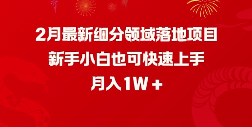 2月最新细分领域落地项目，新手小白也可快速上手，月入1W-桀创项目掘金社