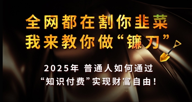 全网都在割你韭菜，我来教你做镰刀，2025年普通人如何通过 知识付费 实现财F自由【揭秘】-桀创项目掘金社
