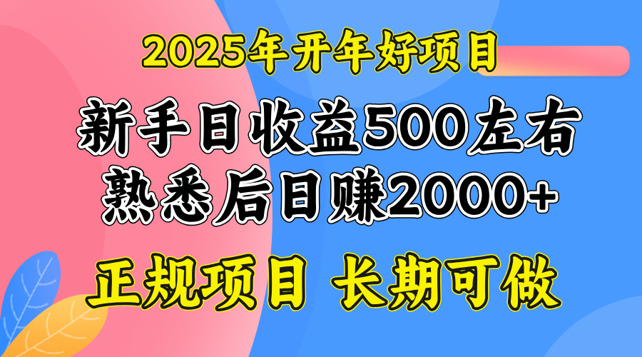 2025开年好项目，单号日收益2000左右-桀创项目掘金社