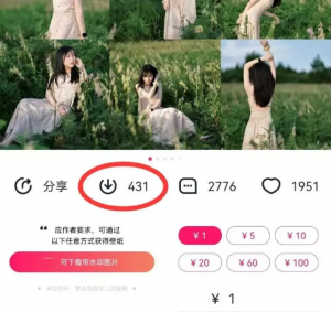 最新图虫搬运项目，收益无上限，利用AI小白也可日赚500+-桀创项目掘金社