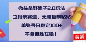 微头条野路子2.0玩法之相亲赛道,无脑搬砖复制粘贴,单账号日稳定300+...-桀创项目掘金社