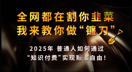 知识付费如何做到月入过W+，2025我来教你做“镰刀”【揭秘】-桀创项目掘金社