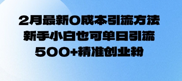 2月最新0成本引流方法，新手小白也可单日引流500+精准创业粉-桀创项目掘金社