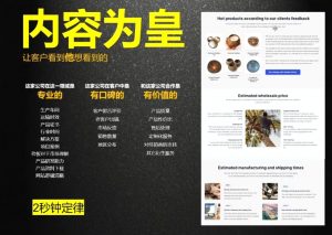 刘老师·外贸询盘增长秘籍从0到1的实战指南-桀创项目掘金社