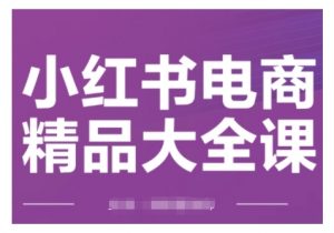 小红书电商精品大全课,快速掌握小红书运营技巧,实现精准引流与爆单目标,轻松玩转小红书电商(更新2月)-桀创项目掘金社