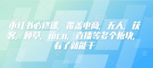 小红书必修课，覆盖电商，无人，获客，种草，mcn，直播等多个板块，看了就能干-桀创项目掘金社