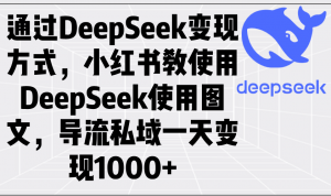 通过DeepSeek变现方式，小红书教使用DeepSeek图文，导流私域一天变现1000+-桀创项目掘金社