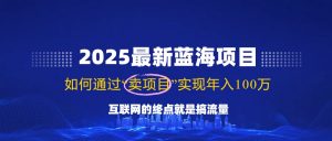 2025最新蓝海项目,零门槛轻松复制,月入10万+,新手也能操作!-桀创项目掘金社