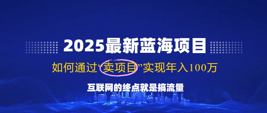2025最新蓝海项目，零门槛轻松复制，月入10万+，新手也能操作！-桀创项目掘金社