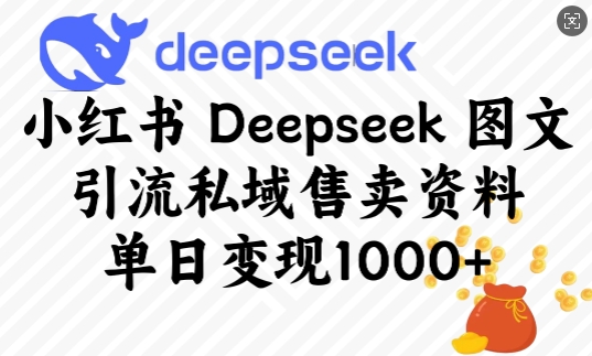 小红书Deepseek图文引流私域售卖资料，单日变现多张-桀创项目掘金社