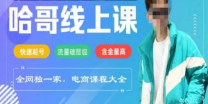 电商线上课程2025年，快速起号，流量破层级，这套方法起号率99%-桀创项目掘金社