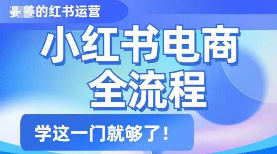 小红书电商全流程，精简易懂，从入门到精通，学这一门就够了-桀创项目掘金社