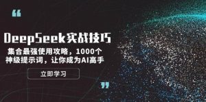DeepSeek实战技巧:集合最强使用攻略,1000个神级提示词,让你成为AI高手-桀创项目掘金社
