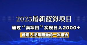 2025年蓝海项目，如何通过“网创项目”日入2000+-桀创项目掘金社