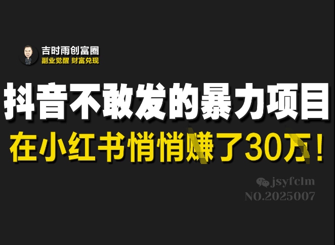 抖音不敢发的暴利项目，在小红书悄悄挣了30W-桀创项目掘金社
