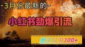 小红书超劲爆引流手段，图文日引300+轻松变现1W-桀创项目掘金社