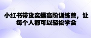 小红书带货实操高阶训练营，让每个人都可以轻松学会-桀创项目掘金社
