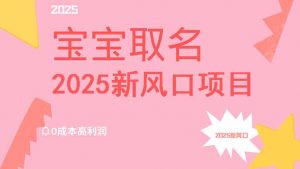 2025新风口项目宝宝取名,0成本高利润,附保姆级教程,月入过万不是梦-桀创项目掘金社