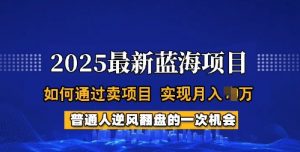 2025蓝海项目,普通人如何通过卖项目,实现月入过W,全过程【揭秘】-桀创项目掘金社