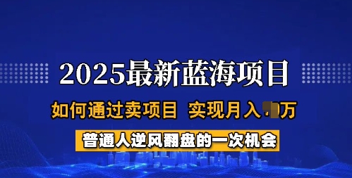 2025蓝海项目，普通人如何通过卖项目，实现月入过W，全过程【揭秘】-桀创项目掘金社