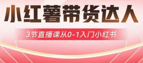 小红薯达人带货启航计划，3节直播课从0-1入门小红书-桀创项目掘金社
