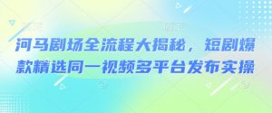 河马剧场全流程大揭秘,短剧爆款精选同一视频多平台发布实操-桀创项目掘金社