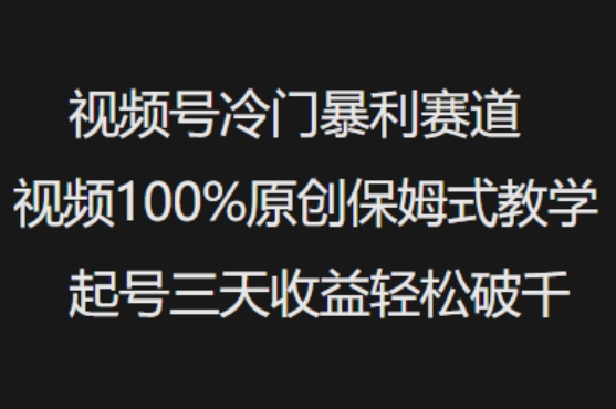 视频号冷门暴利赛道视频100%原创保姆式教学起号三天收益轻松破千-桀创项目掘金社