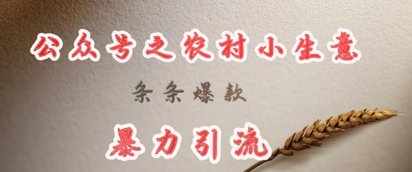 deepseek写农村小项目，条条爆款，暴力引流-桀创项目掘金社