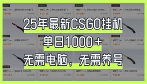 25年最新CSGO挂机系统，单日1000+，无需电脑，无需养号，0基础可上手-桀创项目掘金社