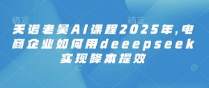 天诺老吴AI课程2025年，电商企业如何用deeepseek实现降本提效-桀创项目掘金社
