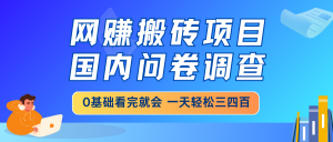 网赚搬砖项目，国内问卷调查，0基础看完就会 一天轻松三四百，靠谱副业…-桀创项目掘金社