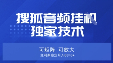【搜狐音频挂G】独家技术，可矩阵可放大，红利期稳定月入8k【揭秘】-桀创项目掘金社