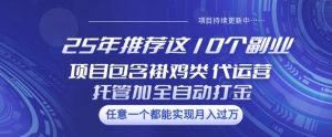 25年推荐这10个副业项目包含褂鸡类、代运营托管类、全自动打金类【揭秘】-桀创项目掘金社