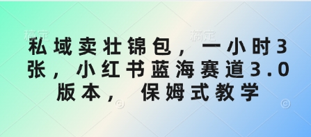 私域卖壮锦包，一小时3张，小红书蓝海赛道3.0版本， 保姆式教学-桀创项目掘金社