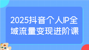 2025抖音个人IP全域流量变现进阶课:选爆品、抖音付费投流、千川投流实操及优化等-桀创项目掘金社