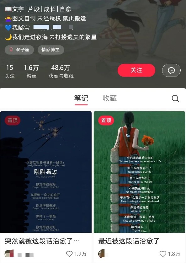 小红书治愈文案图文笔记，零门槛，一分钟制作轻松制作爆款作品月入万元-桀创项目掘金社