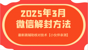 2025年3月微信解封方法 最新跳辅助核对技术【小伙伴亲测】-桀创项目掘金社