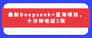 最新Deepseek+蓝海项目，十分钟收益2张-桀创项目掘金社