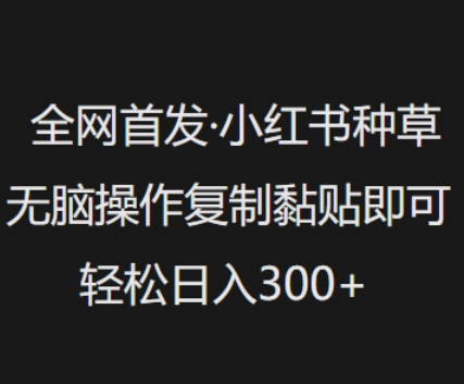 全网首发，小红书种草无脑操作，复制黏贴即可，轻松日入3张-桀创项目掘金社