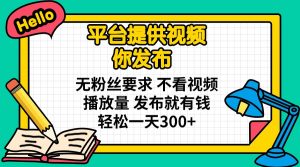 平台提供视频 你发布 无粉丝要求 不看视频播放量 发布就有钱 轻松一天300+-桀创项目掘金社