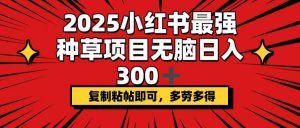 2025小红书最强种草项目，无脑日入300+，复制粘帖即可，多劳多得-桀创项目掘金社