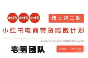 小红书电商带货课2期，月利润20个的小红书电商的有货源，无货源，虚拟产品，付费投流等整套玩法-桀创项目掘金社