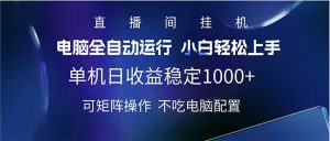 2025直播间最新玩法单机日入1000+ 全自动运行 可矩阵操作-桀创项目掘金社