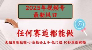 2025年视频号新风口，低门槛只需要无脑执行-桀创项目掘金社
