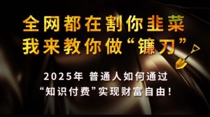 全网都在割你韭菜,我来教你做镰刀,2025普通人如何通过知识付费,实现财F自由【揭秘】-桀创项目掘金社
