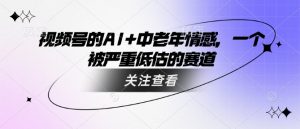 视频号的AI+中老年情感,一个被严重低估的赛道-桀创项目掘金社