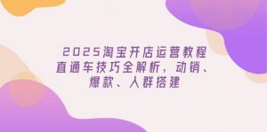 2025淘宝开店运营教程更新，直通车技巧全解析，动销、爆款、人群搭建-桀创项目掘金社