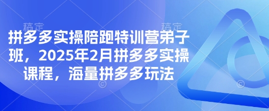 拼多多实操陪跑特训营弟子班，2025年2月拼多多实操课程，海量拼多多玩法-桀创项目掘金社