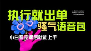 爆火全网的开车导航骚气语音包,只要执行就出单，小白看完课程就能实操…-桀创项目掘金社