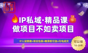2025年“IP私域·密训精品课”，日赚3000+小白避坑年赚百万，暴力引流…-桀创项目掘金社